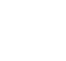 DASH Consultoria